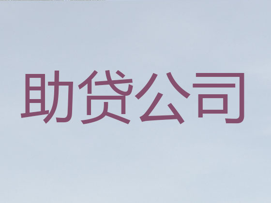 锦州抵押贷款公司-银行担保贷款